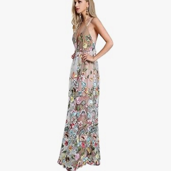 Embroidered Mesh Maxi Dress Boutique - Picture 3 of 8